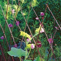 diamond patterned twig trellis backyard project